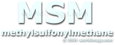 What is MSM? Logo